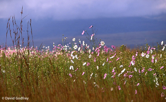 Near Rorke's Drift, Kwa Zulu Natal, South Africa