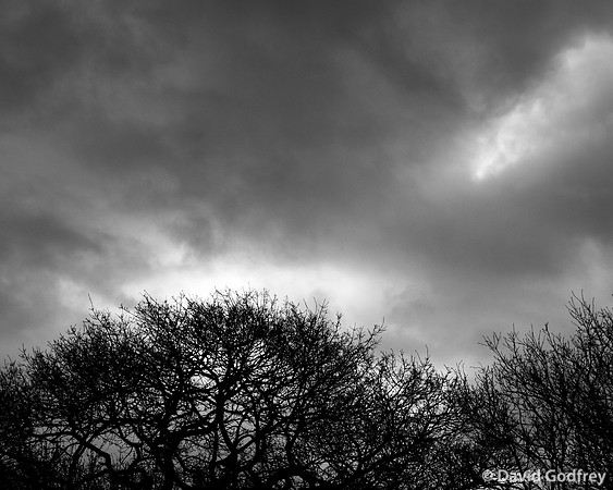 CHASING THE LIGHT IN LONDON'S LOCKDOWN