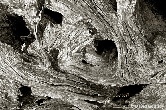 Tofino 1 ( Driftwood composition )